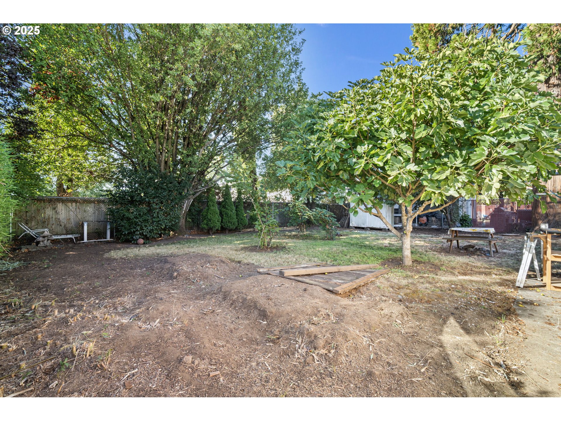 1917 Scott Road Springfield, OR 97477 - Photo 27 of 31 a view of a backyard with large trees