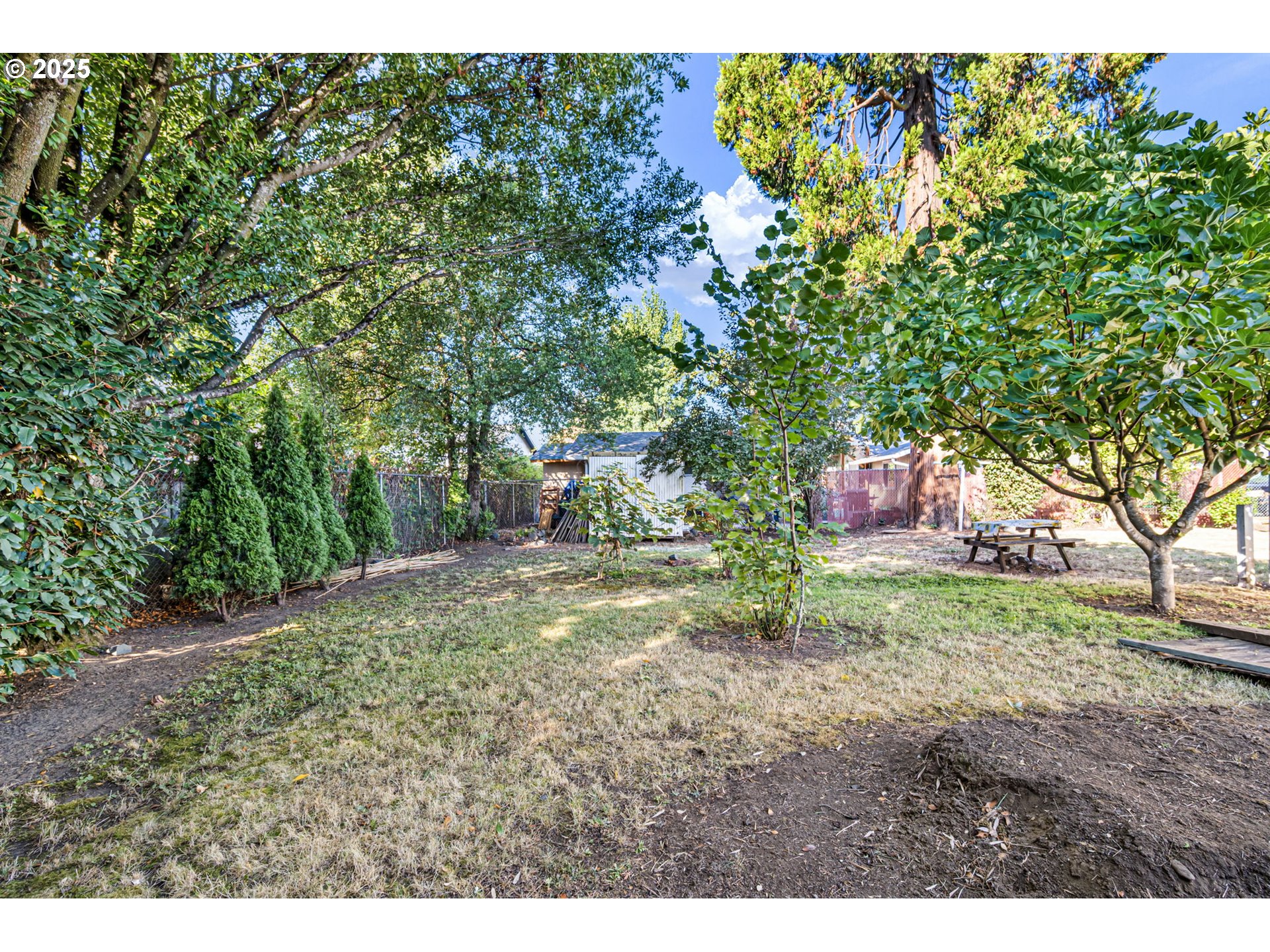 1917 Scott Road Springfield, OR 97477 - Photo 28 of 31 a backyard of a house with lots of green space