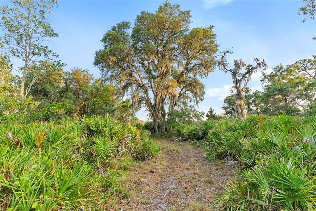 1980 Lake Buffum Road Fort Meade, FL 33841 - Photo 56 of 64 Gallery Image 56