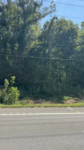 a view of a swimming pool and a yard