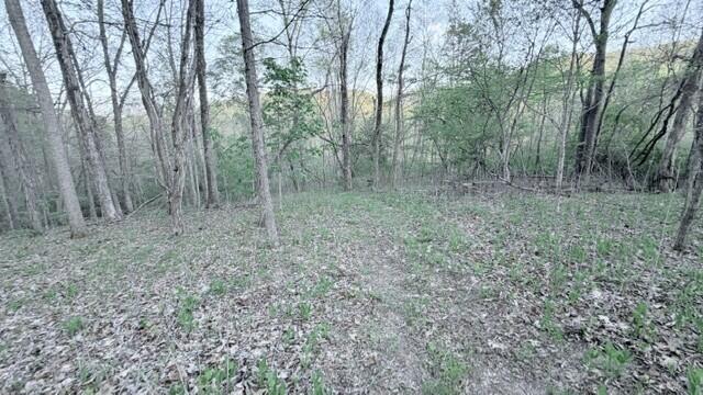 2463 Willow Bend Road Lindside, WV 24951 - Photo 51 of 75 Gallery Image 51