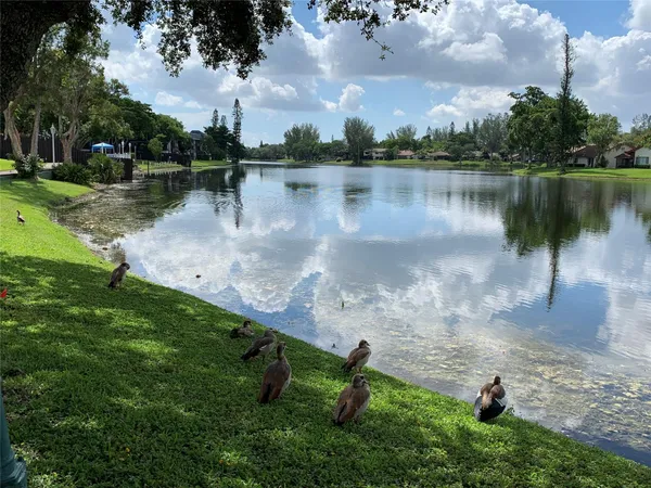 a view of a yard with red space
