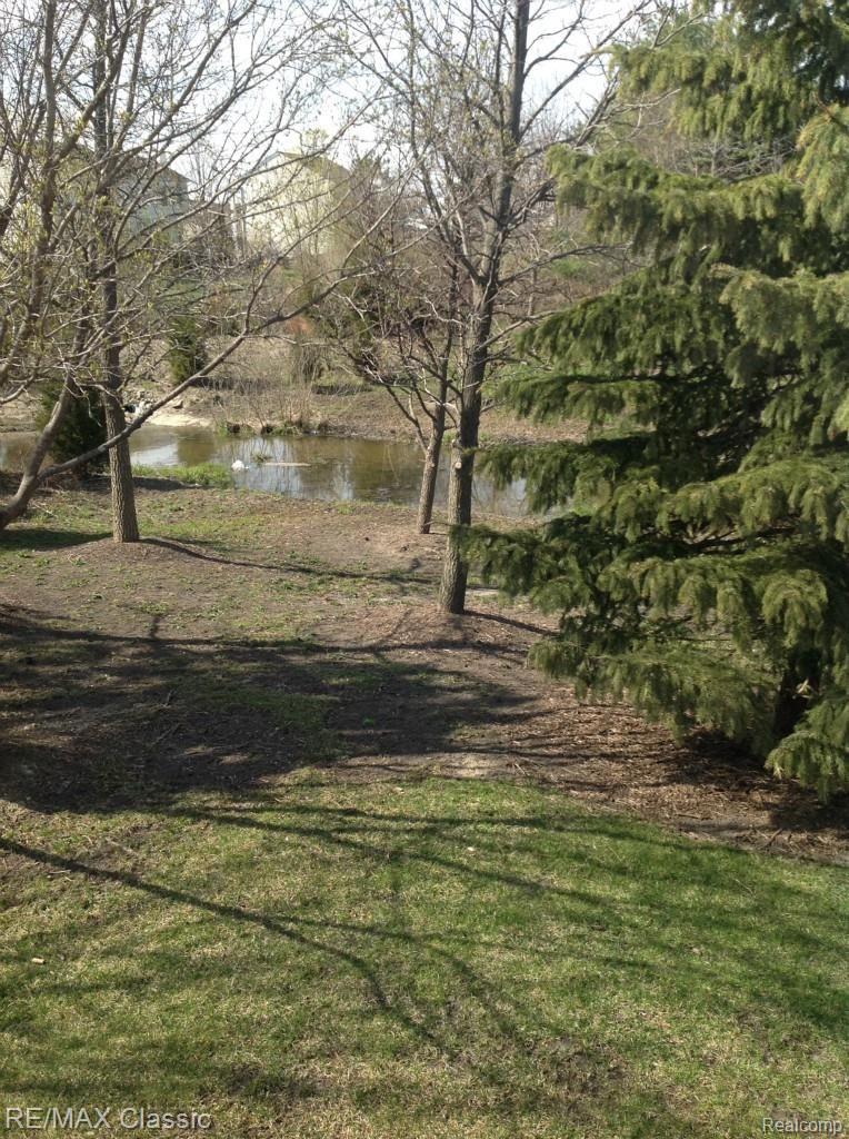 320 Cherry Grove Road, Unit 52 Canton, MI 48188 - Photo 10 of 66 9.jpg