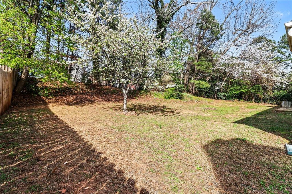 7170 Threadstone Overlook Duluth, GA 30097 - Photo 26 of 26 a view of yard