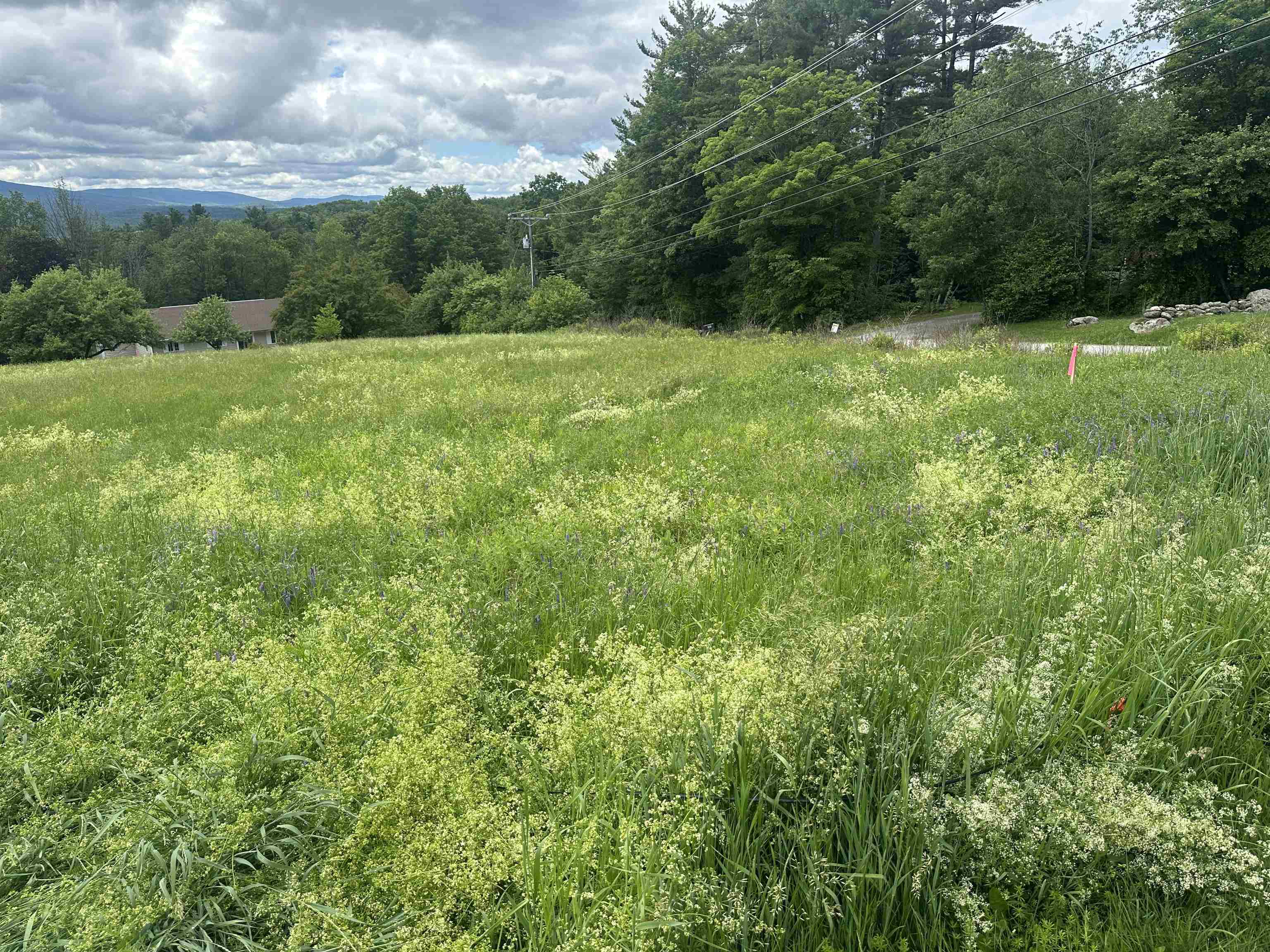 Lot 31 North Road Sunapee, NH 03782 - Photo 2 of 13