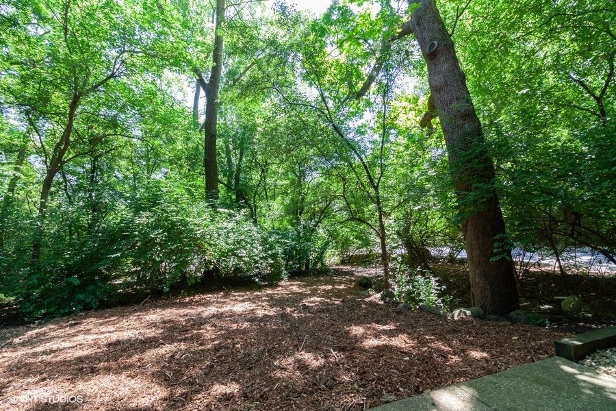 6008 Forest View Road, Unit 1D Lisle, IL 60532 - Photo 11 of 22 a view of a forest with trees