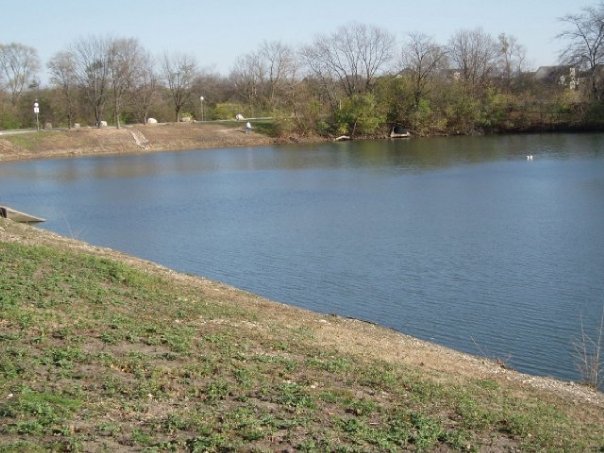 6008 Forest View Road, Unit 1D Lisle, IL 60532 - Photo 17 of 22 a view of lake and mountain