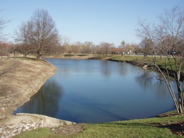 6008 Forest View Road, Unit 1D Lisle, IL 60532 - Photo 18 of 22 a view of a lake with houses