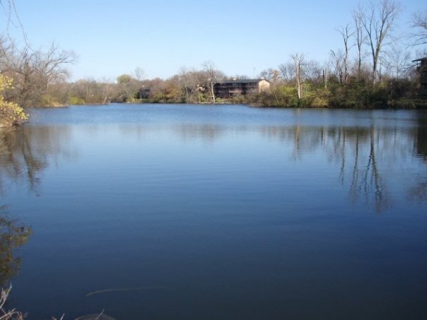 6008 Forest View Road, Unit 1D Lisle, IL 60532 - Photo 19 of 22