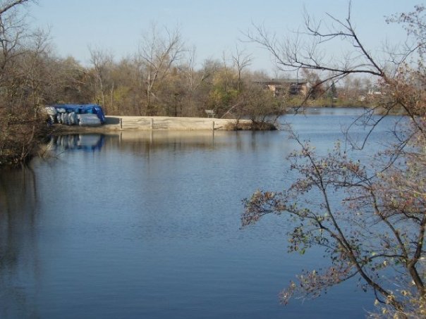 6008 Forest View Road, Unit 1D Lisle, IL 60532 - Photo 21 of 22 a view of a lake with outdoor space