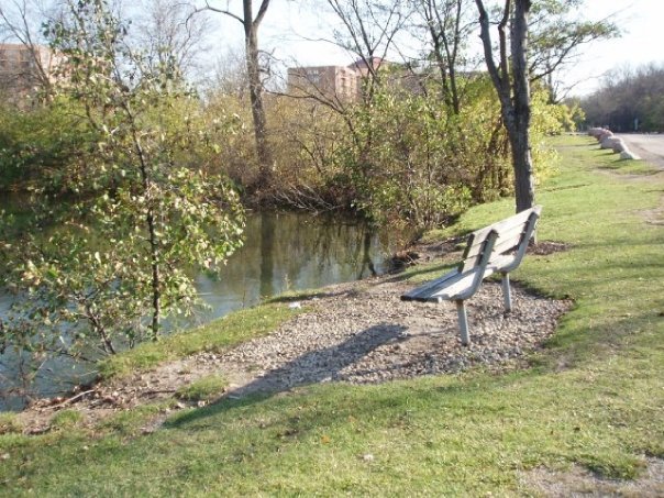 6008 Forest View Road, Unit 1D Lisle, IL 60532 - Photo 22 of 22 a view of a lake with a bench and some trees