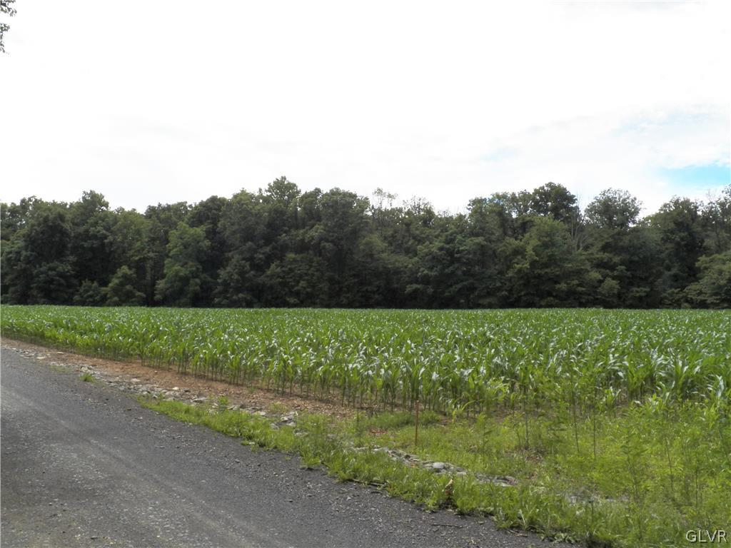 8760 Ulrich Road Germansville, PA 18053 - Photo 2 of 3 Gallery Image 2
