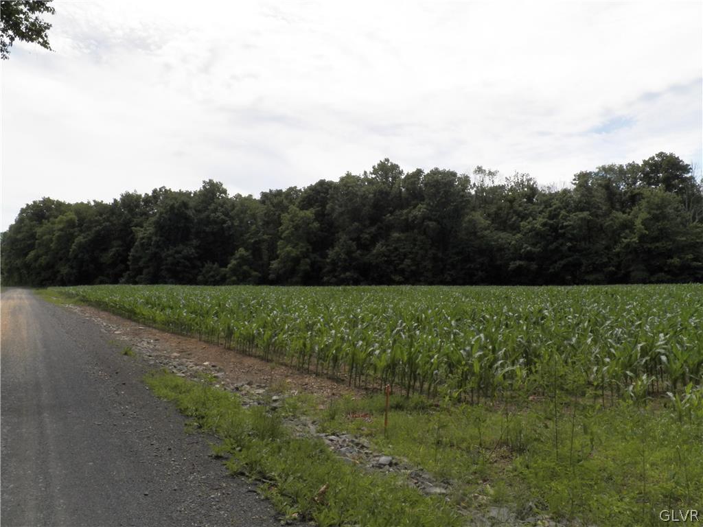 8760 Ulrich Road Germansville, PA 18053 - Photo 3 of 3 Gallery Image 3