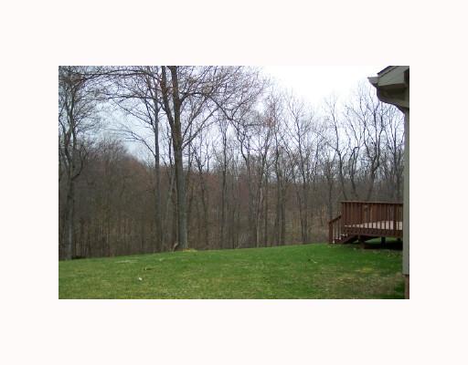 122 Cherry Road Chicora, PA 16025 - Photo 4 of 16 Yard/Garden.