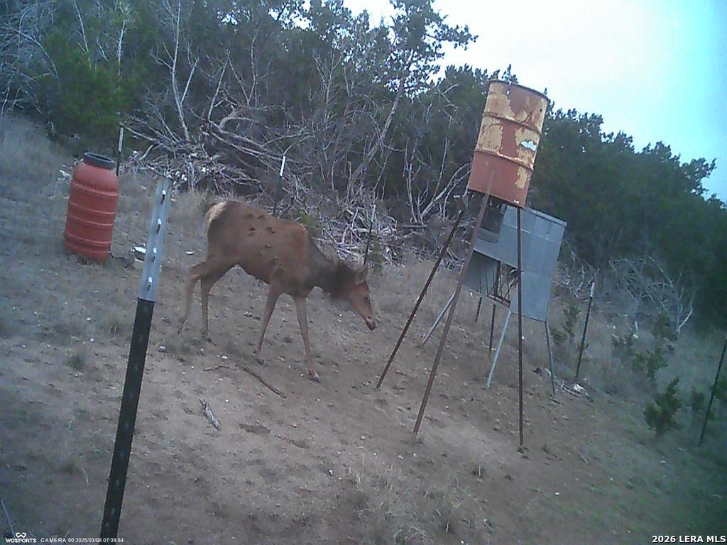 204 Wilson Rand Road Hunt, TX 78024 - Photo 29 of 46