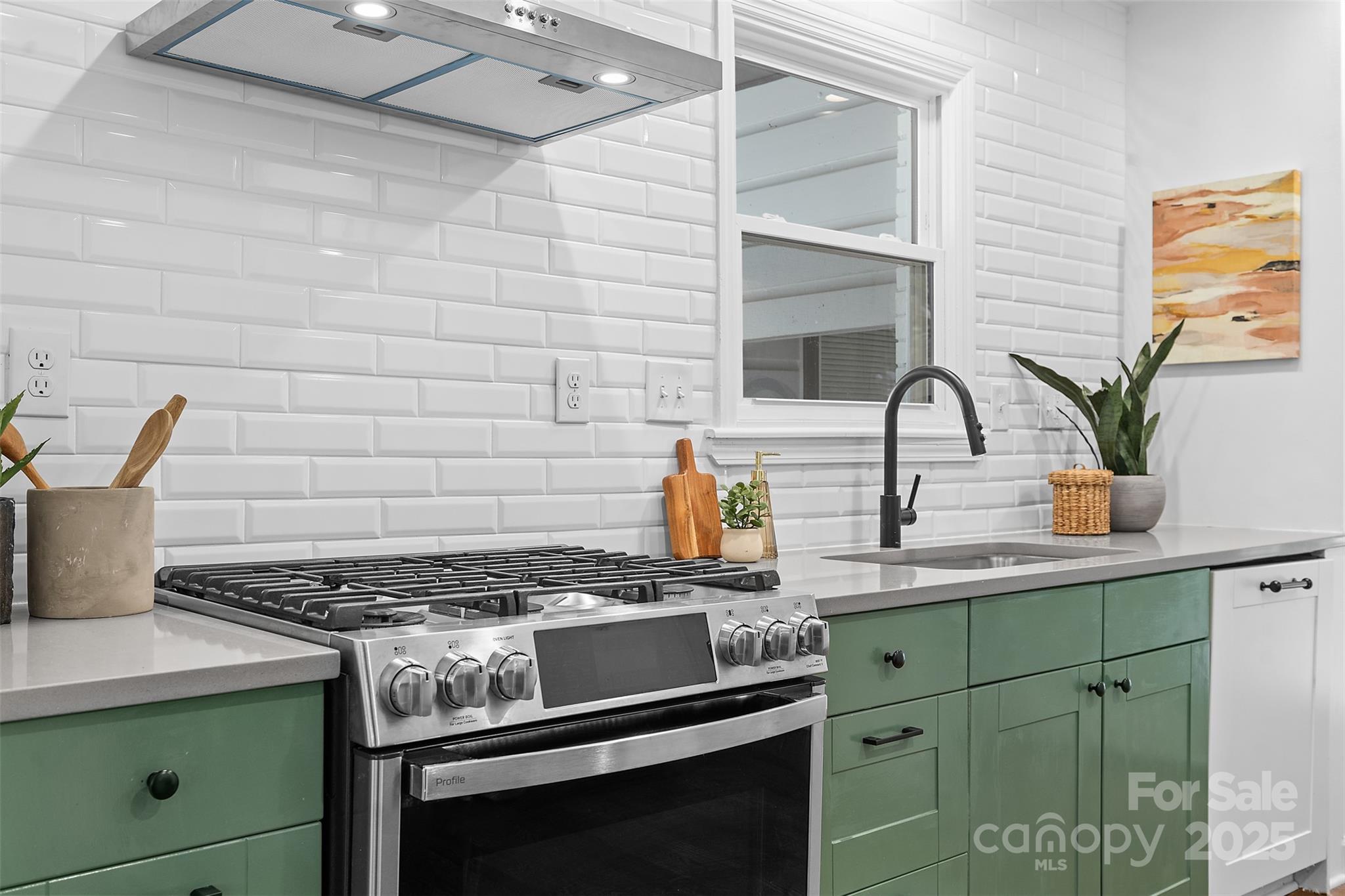 917 Scaleybark Road Charlotte, NC 28209 - Photo 14 of 42 a kitchen with a stove and a sink