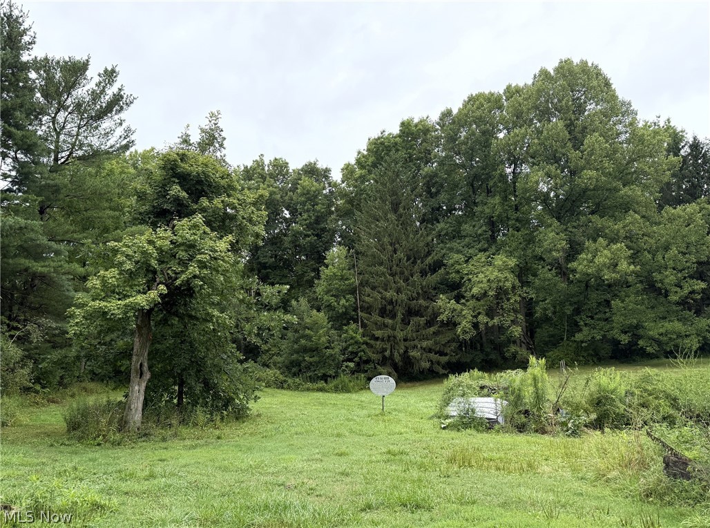 10990 Mayfield Road Chardon, OH 44024 - Photo 25 of 28 Back yard.