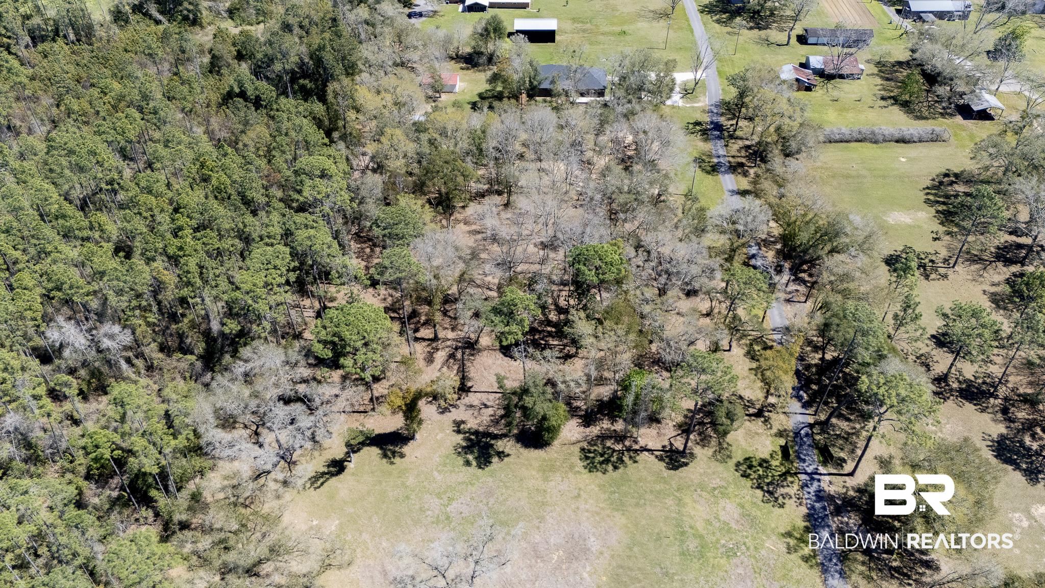 0 River Park Road Fairhope, AL 36532 - Photo 10 of 12 Birds eye view of property featuring a view of trees