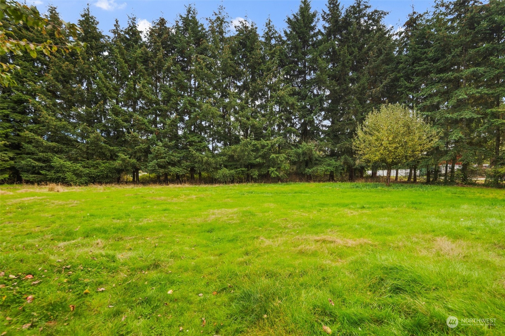 14844 Southeast 116th Street Renton, WA 98059 - Photo 32 of 38 a view of yard with green space