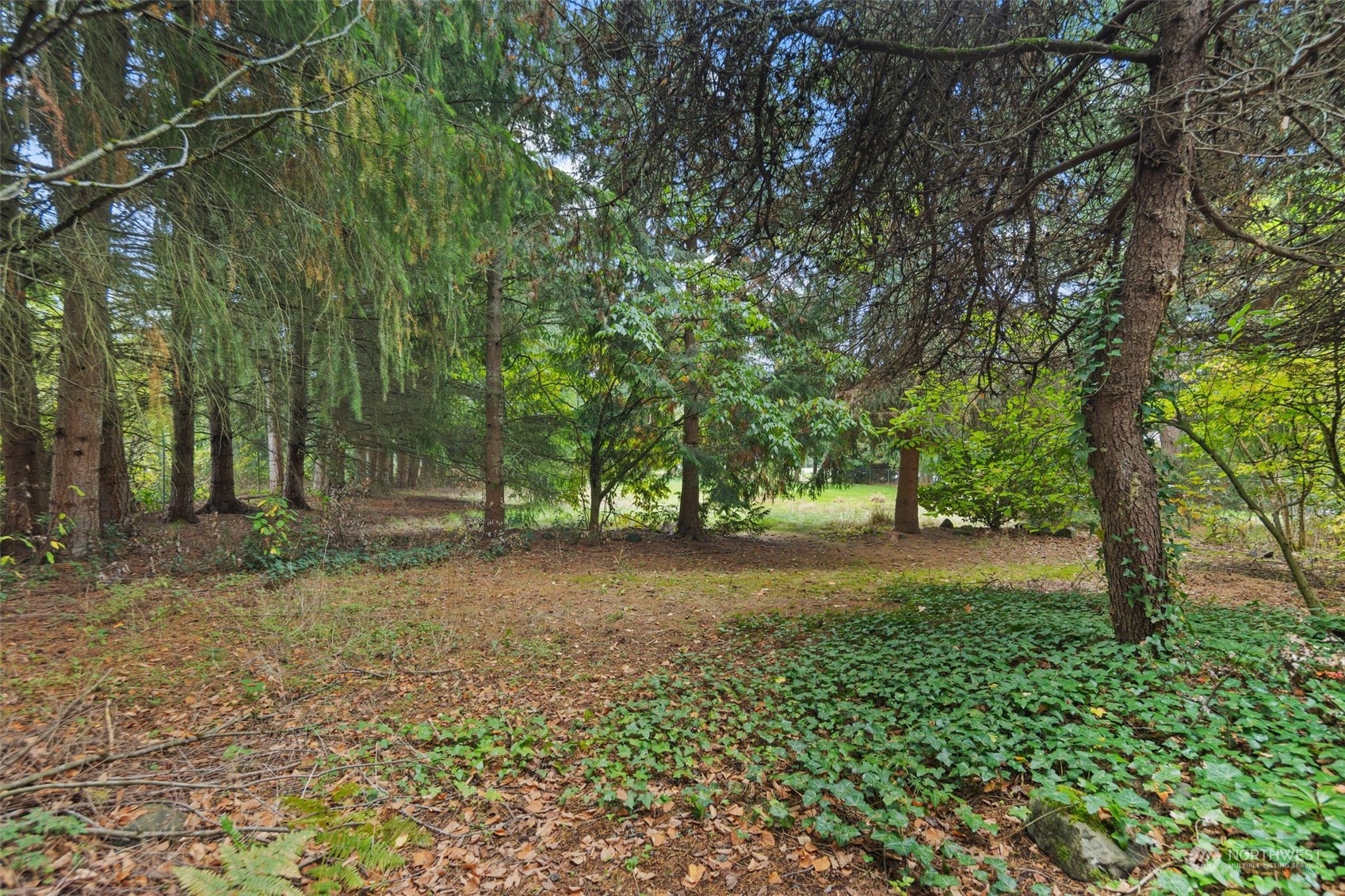 14844 Southeast 116th Street Renton, WA 98059 - Photo 33 of 38 a view of backyard with green space