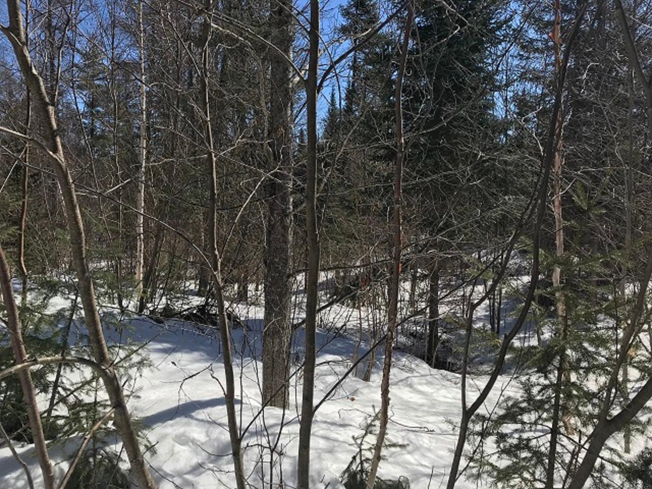 Tbd Off Fisher Lake Road Mercer, WI 54547 - Photo 15 of 23 Gallery Image 15