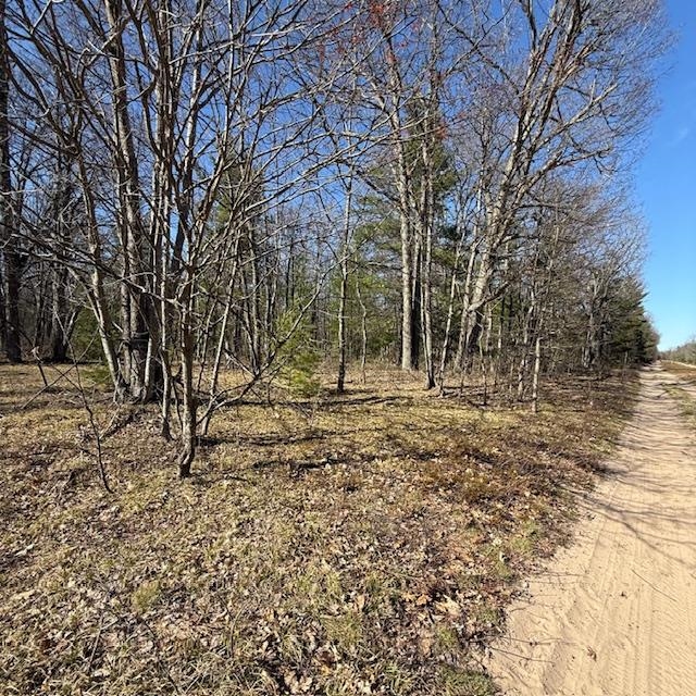 C Scharmen Road Traverse City, MI 49696 - Photo 7 of 11