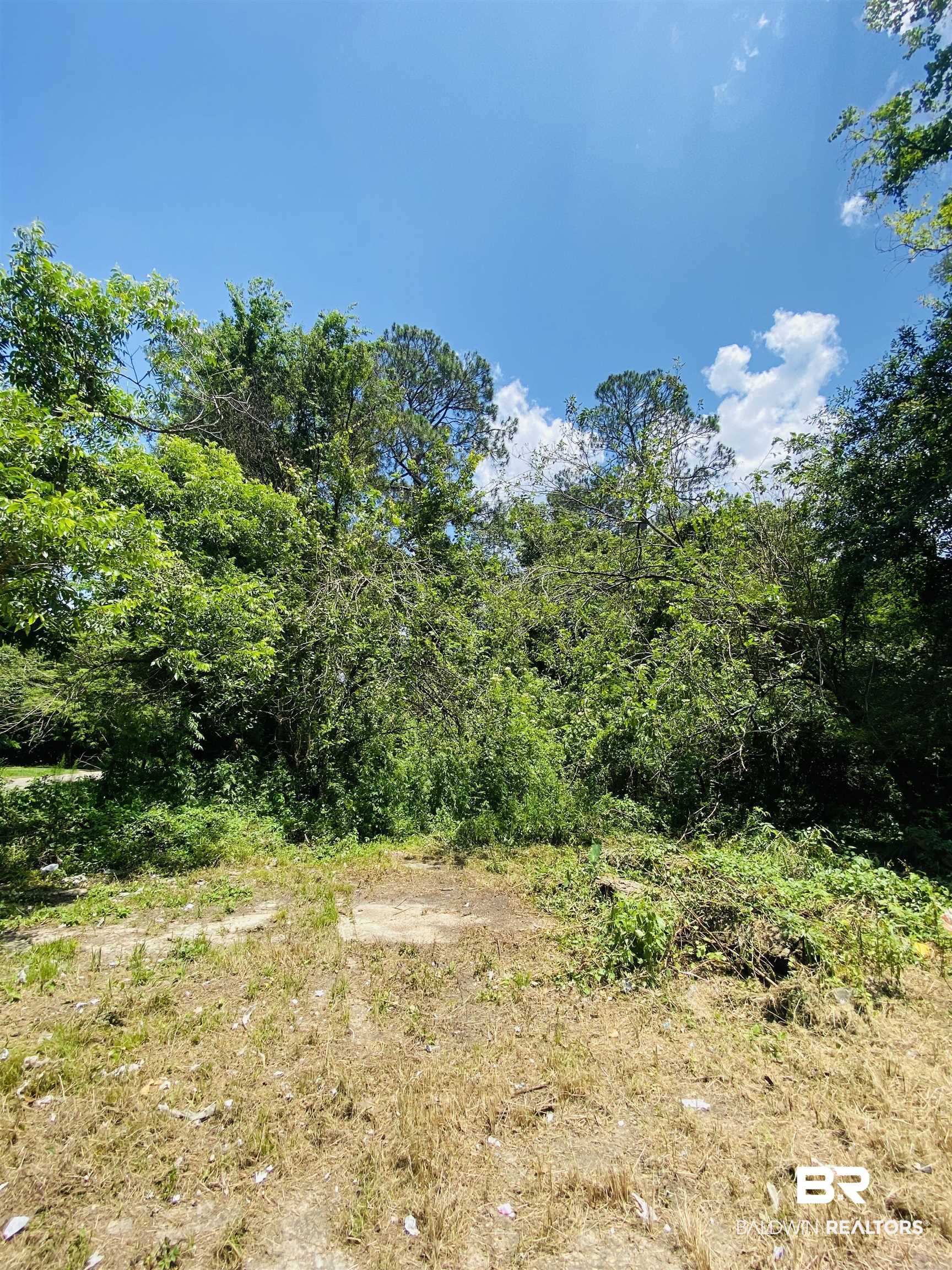 421 West Foch Street Mobile, AL 36610 - Photo 9 of 13
