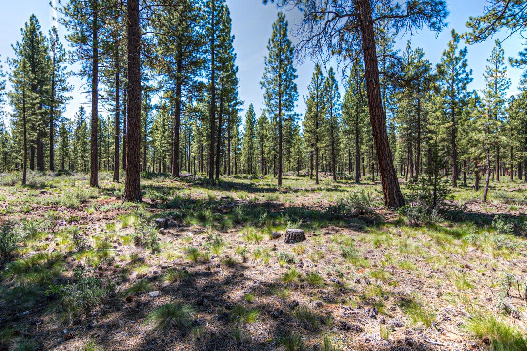 16939 Jacinto Road Bend, OR 97707 - Photo 40 of 83 Jacinto Rd 16939 (39 of 41)