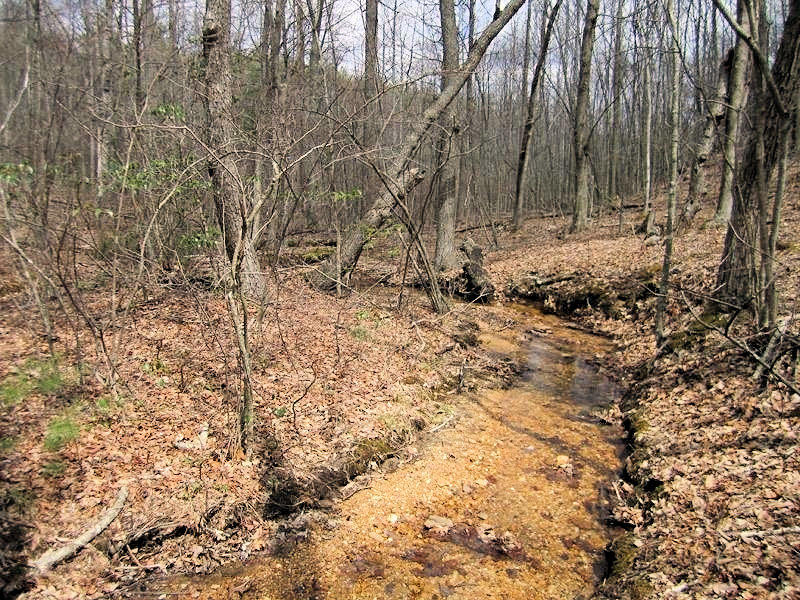 4051 Sunflower Road Pilot, VA 24138 - Photo 44 of 62 Creek