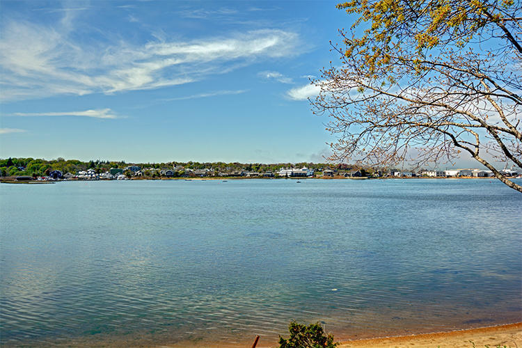 104 Hines Point Road Vineyard Haven, MA 02568 - Photo 21 of 21 Additional Photo