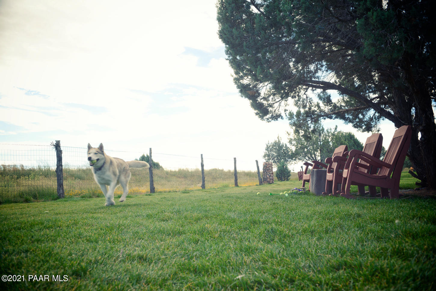 15375 Angels Gate Road Prescott, AZ 86305 - Photo 8 of 13 7-TalkingRock_DogPark
