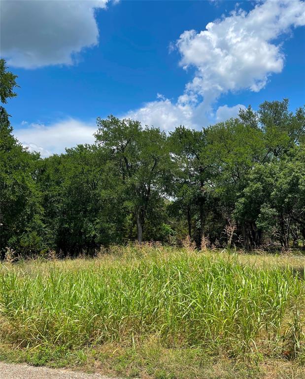 2000 Austin Hines Drive China Spring, TX 76633 - Photo 14 of 16