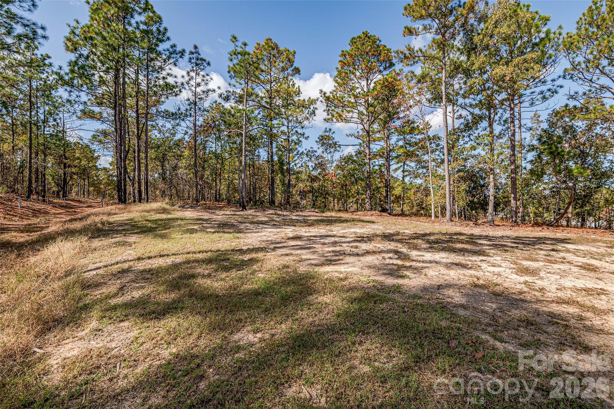 8684 Teals Mill Road Cheraw, SC 29520 - Photo 33 of 34 a view of outdoor space with trees