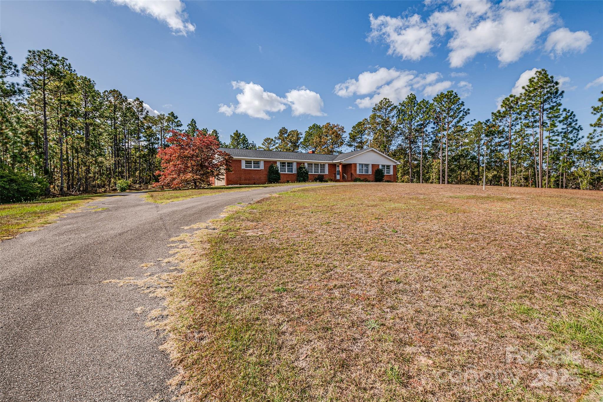 8684 Teals Mill Road Cheraw, SC 29520 - Photo 6 of 36 a front view of a house with a yard and trees