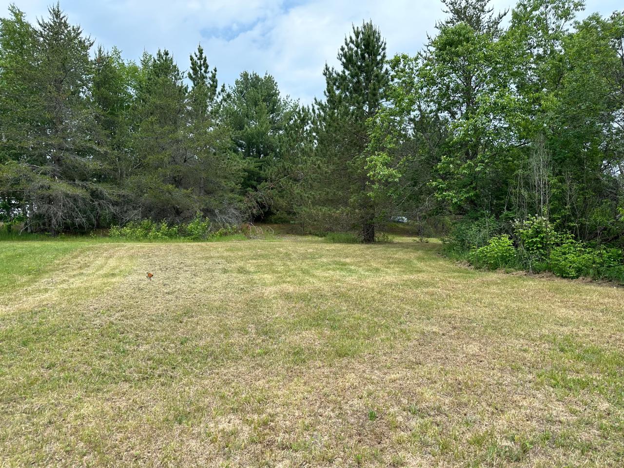 Lot 68 Lake Road Rhinelander, WI 54501 - Photo 7 of 10 Gallery Image 7