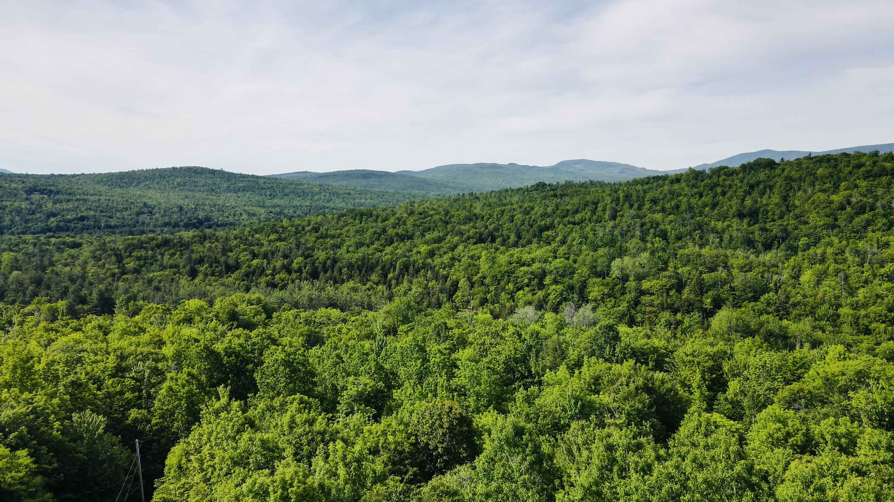 Lot #4 Mooseley Ridge Road Phillips, ME 04966 - Photo 19 of 20