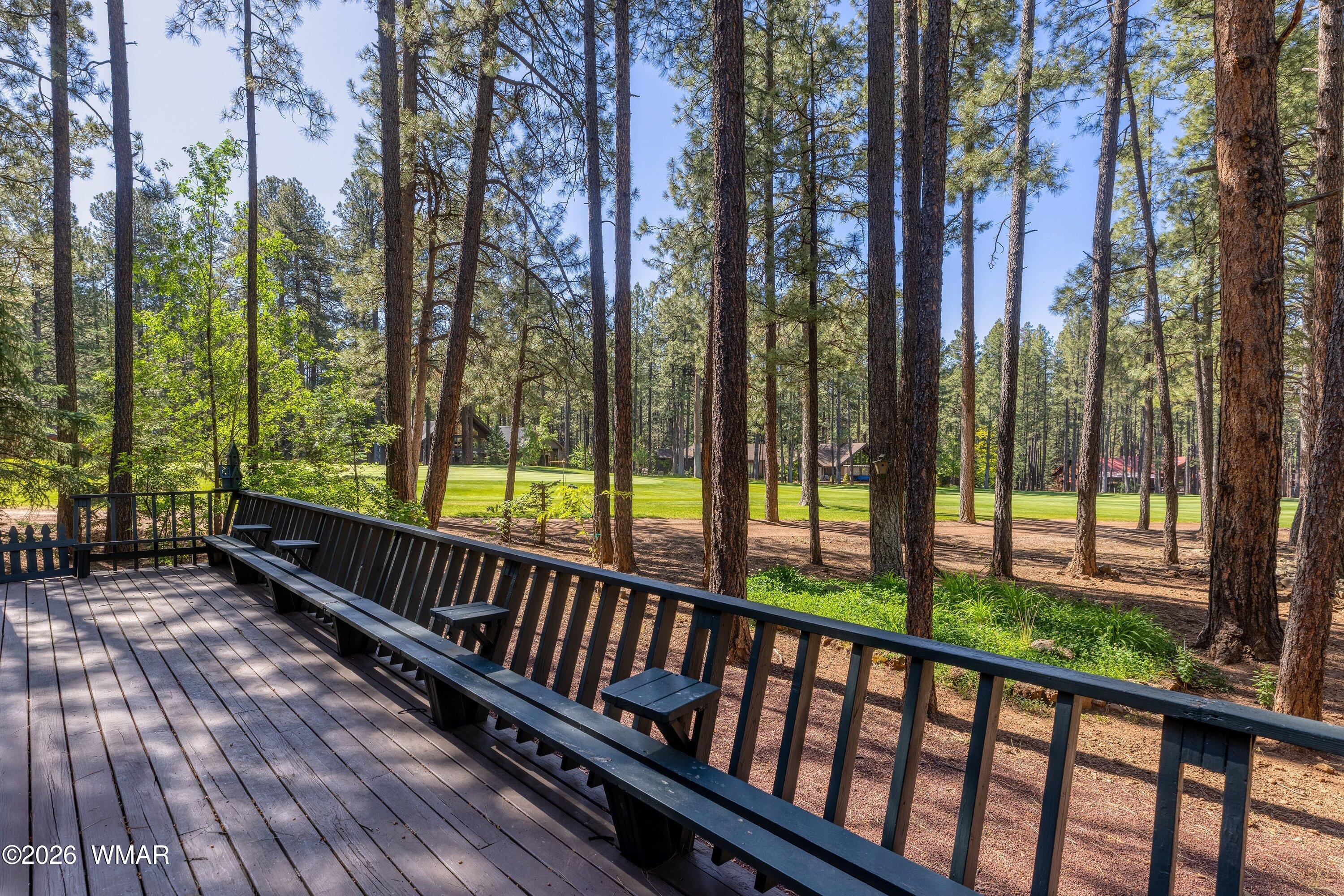 8085 Indian Bend Road Pinetop, AZ 85935 - Photo 15 of 44
