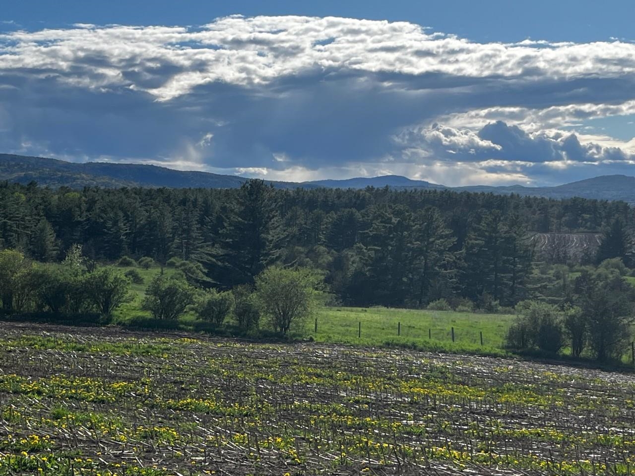 Crown Point Road Bridport, VT 05734 - Photo 5 of 6