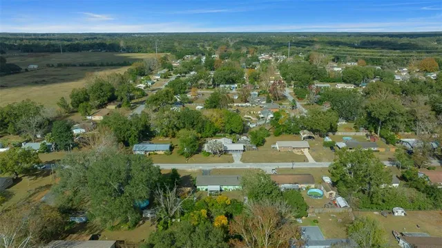 a view of a park with large trees