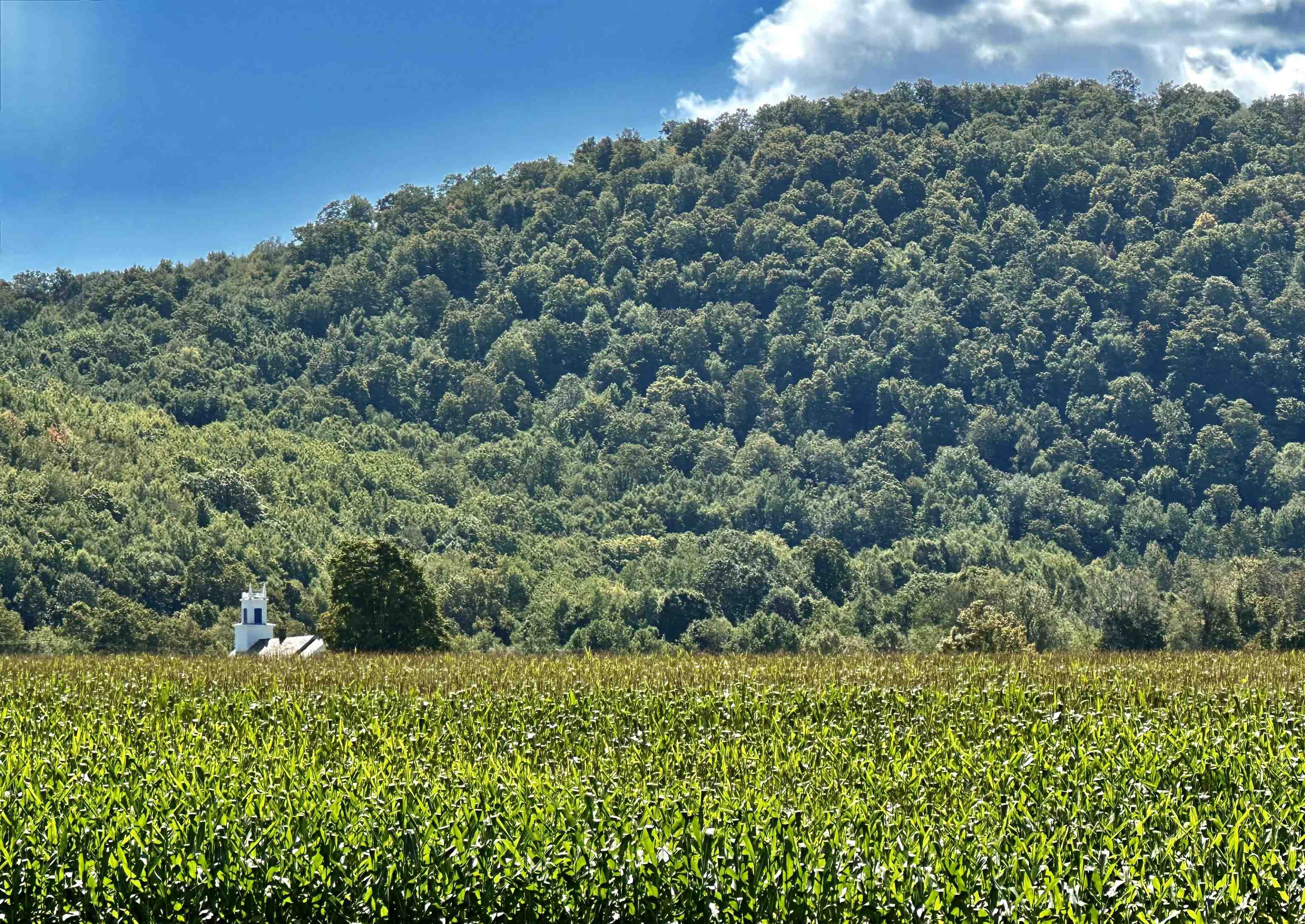 3264 Highway 153 Rupert, VT 05761 - Photo 48 of 50