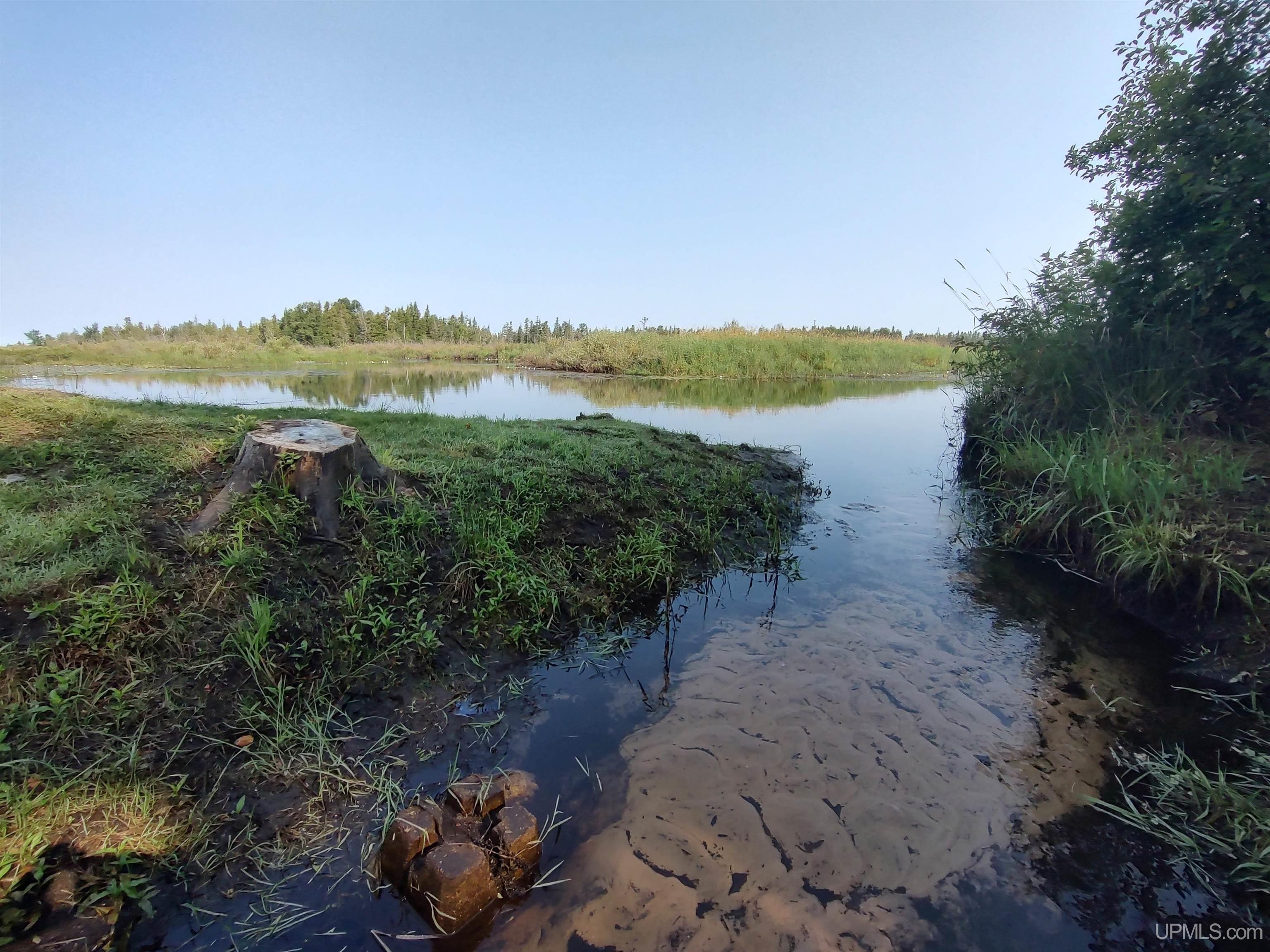387 Rd Mcmillan Mi 49853 Road Newberry, MI 49868 - Photo 59 of 78