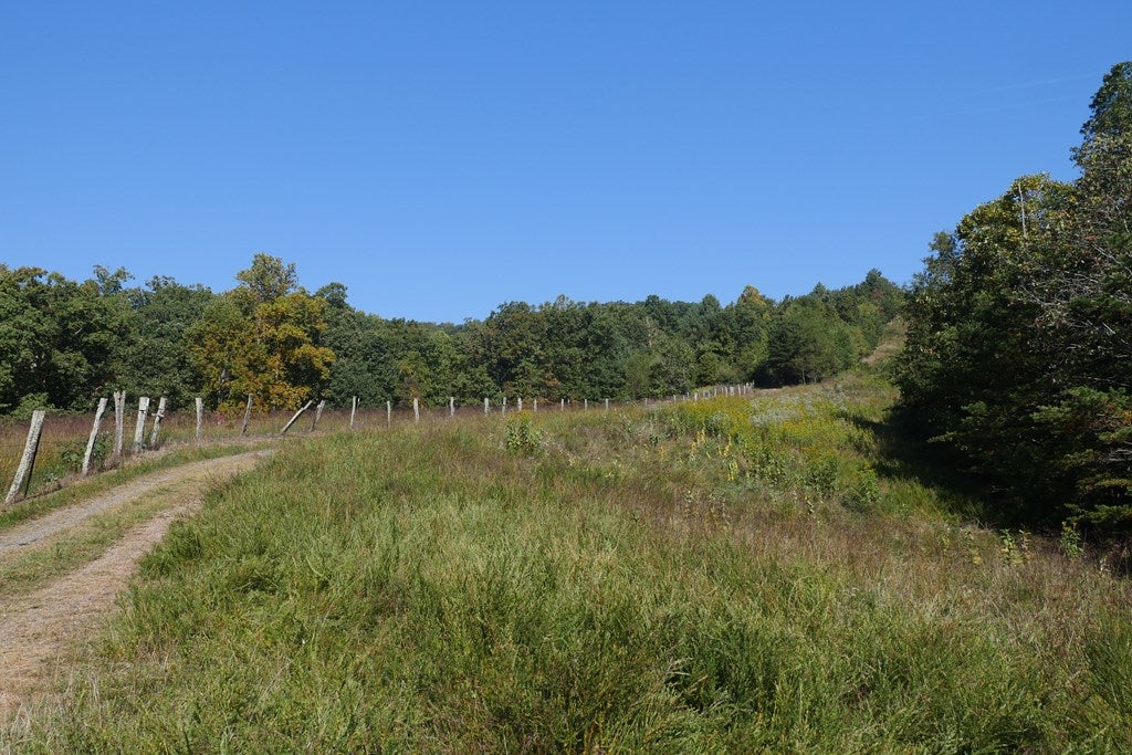 Tbd Hall Hollow Road, Unit 1 Austinville, VA 24312 - Photo 48 of 76 Gallery Image 48