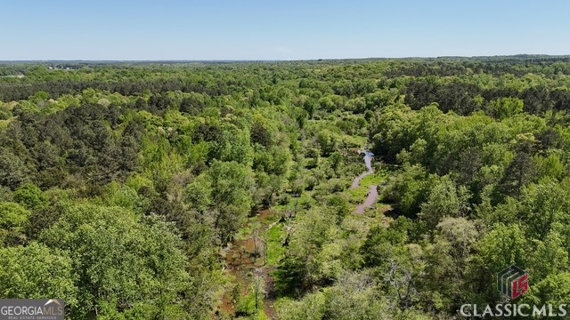 0 Moore Road Elberton, GA 30635 - Photo 13 of 67