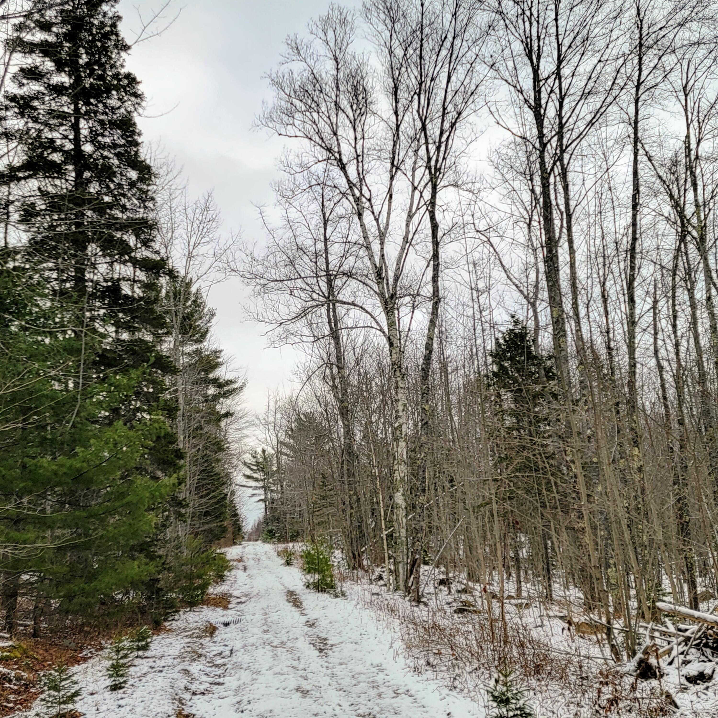 0 Ashville Road Sullivan, ME 04664 - Photo 10 of 42 20211129_123237