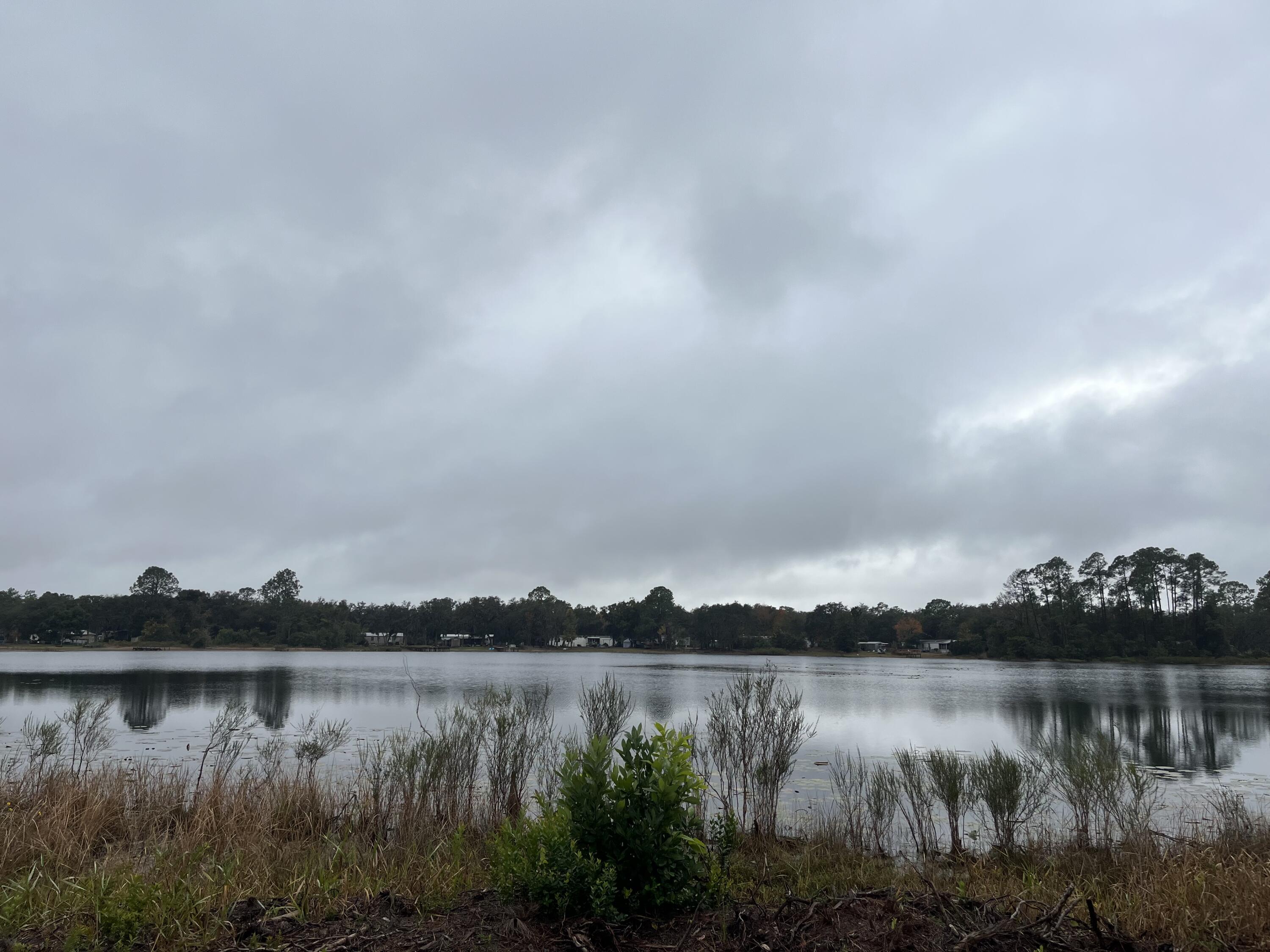 Tbd Susan Street Interlachen, FL 32148 - Photo 11 of 12 IMG_5095