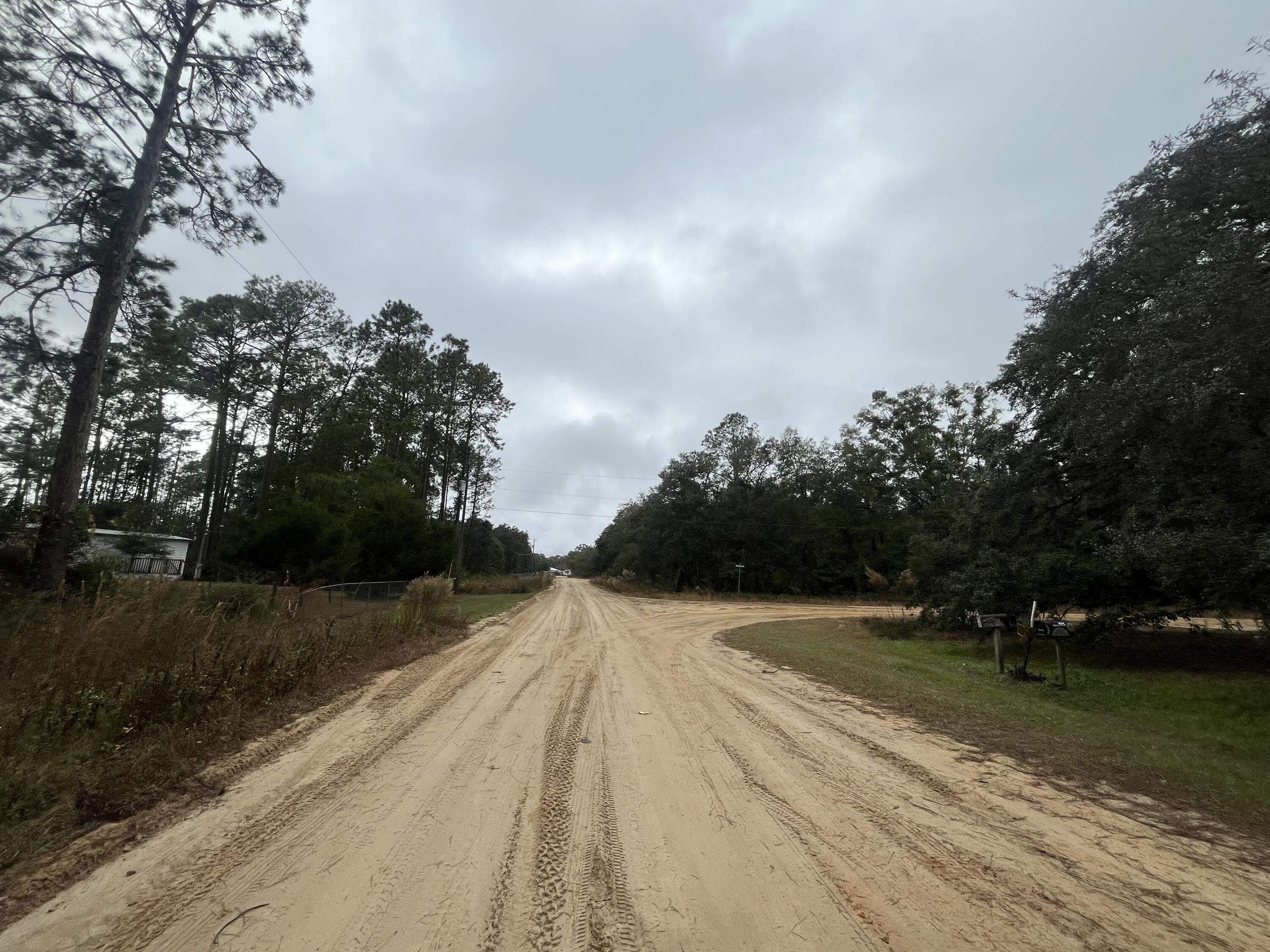 Tbd Susan Street Interlachen, FL 32148 - Photo 9 of 12 IMG_5092