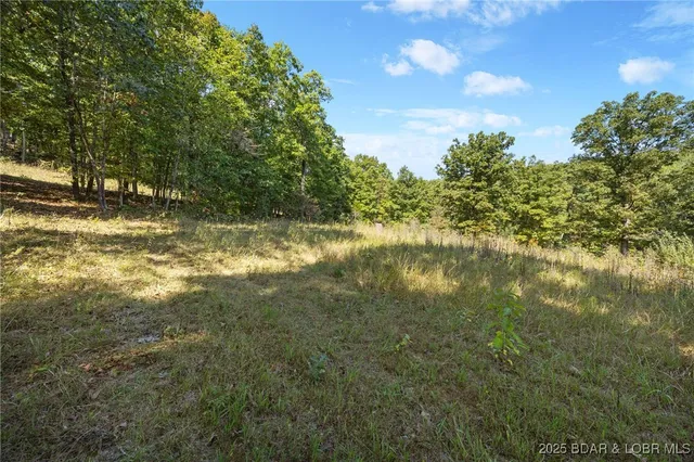 $85,500 | 90 Pleasant Hollow Lane, Camdenton, MO 65020