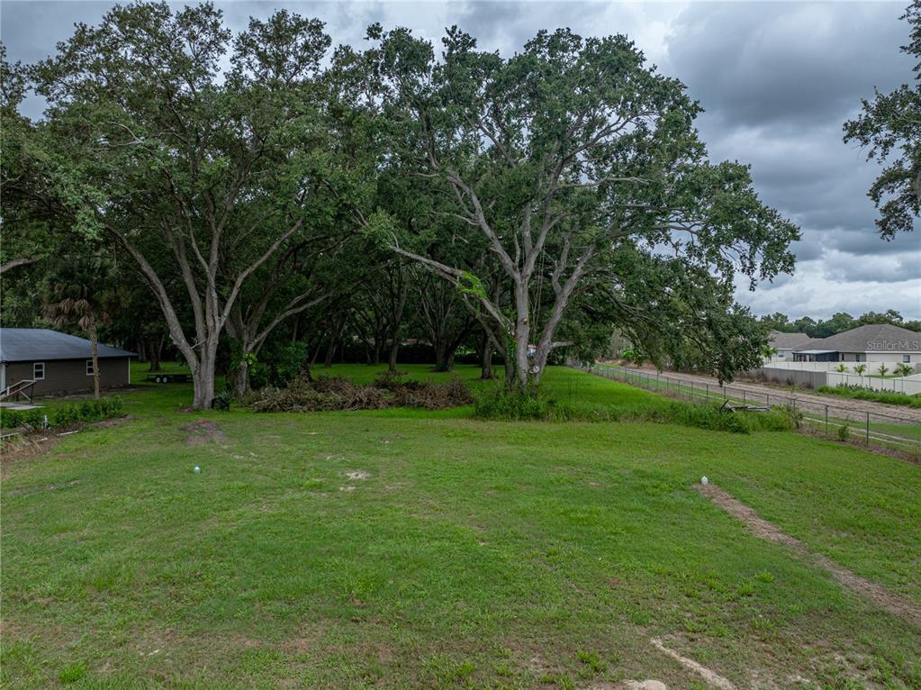 Old Berkley Road Auburndale, FL 33823 - Photo 10 of 13 a view of a field with a tree