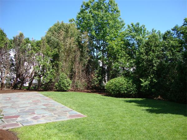 49 Sharpe Road Belmont, MA 02478 - Photo 21 of 28