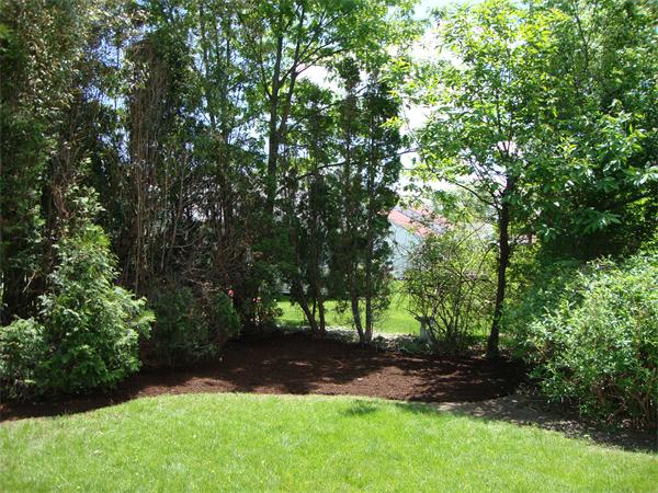 49 Sharpe Road Belmont, MA 02478 - Photo 22 of 28